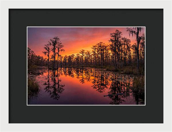 Okefenokee Swamp Sunset Reflections