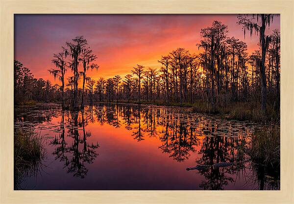 Okefenokee Swamp Sunset Reflections