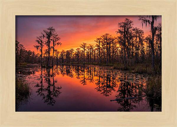 Okefenokee Swamp Sunset Reflections