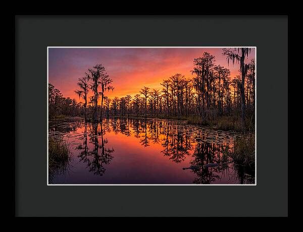 Okefenokee Swamp Sunset Reflections