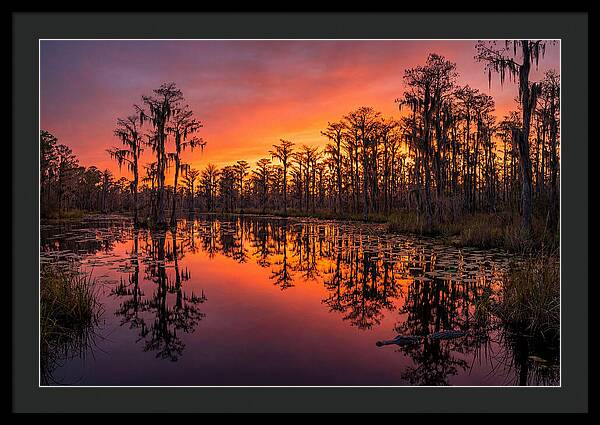 Okefenokee Swamp Sunset Reflections