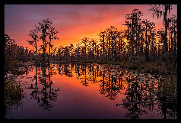 Okefenokee Swamp Sunset Reflections