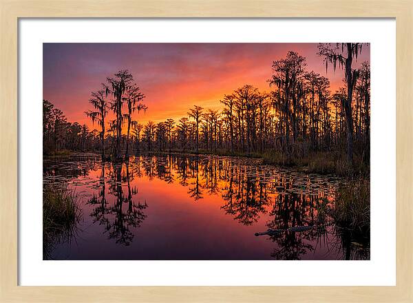 Okefenokee Swamp Sunset Reflections