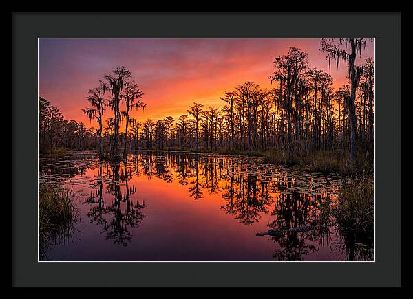 Okefenokee Swamp Sunset Reflections