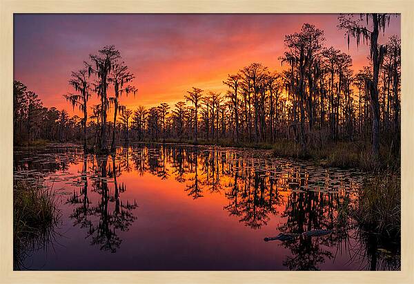 Okefenokee Swamp Sunset Reflections