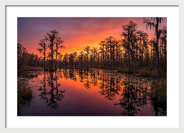 Okefenokee Swamp Sunset Reflections