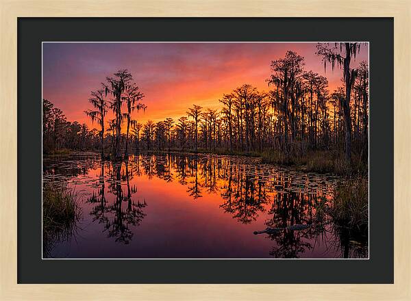 Okefenokee Swamp Sunset Reflections