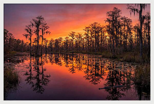 Okefenokee Swamp Sunset Reflections