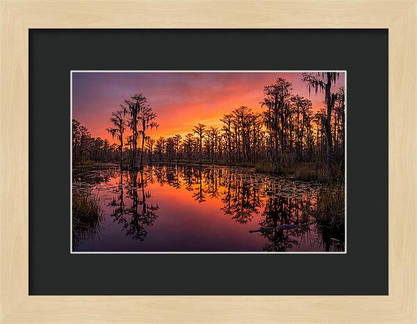 Okefenokee Swamp Sunset Reflections
