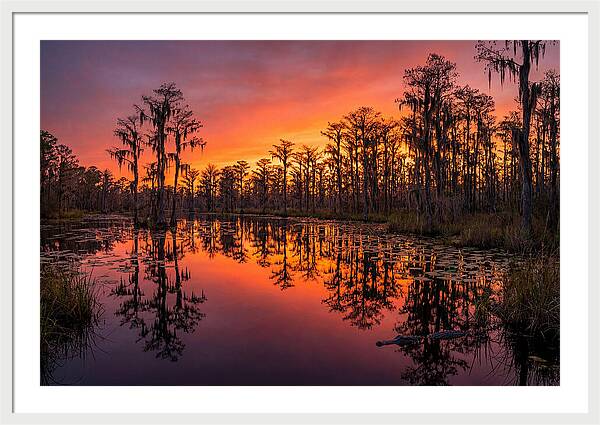Okefenokee Swamp Sunset Reflections