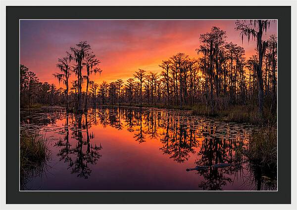 Okefenokee Swamp Sunset Reflections