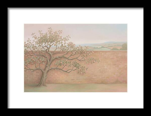 Old Apple Tree Espaliered Against Wall