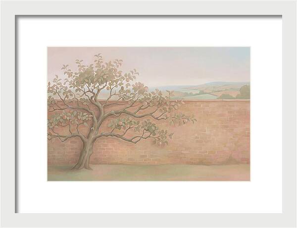 Old Apple Tree Espaliered Against Wall