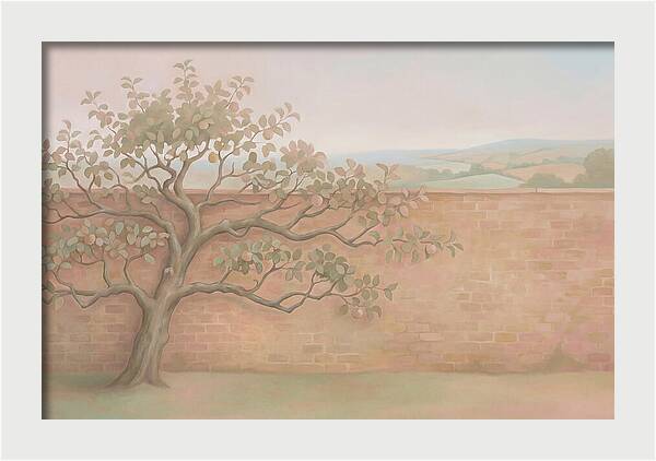 Old Apple Tree Espaliered Against Wall