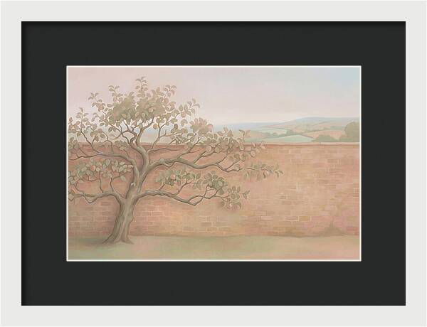 Old Apple Tree Espaliered Against Wall