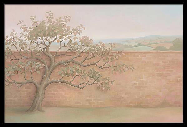 Old Apple Tree Espaliered Against Wall