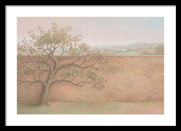 Old Apple Tree Espaliered Against Wall