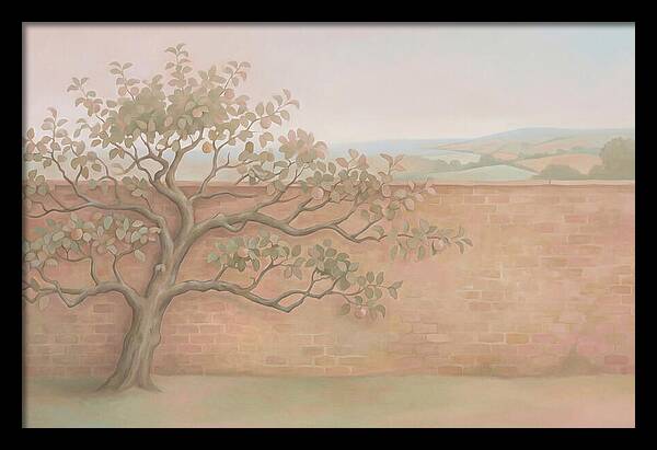 Old Apple Tree Espaliered Against Wall