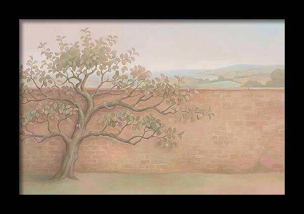 Old Apple Tree Espaliered Against Wall
