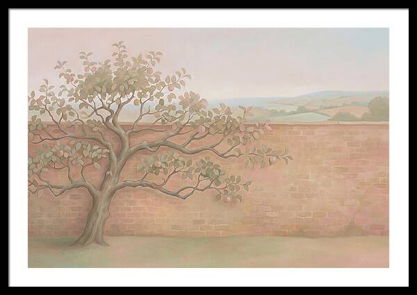 Old Apple Tree Espaliered Against Wall