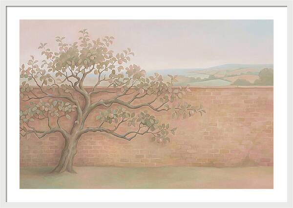 Old Apple Tree Espaliered Against Wall