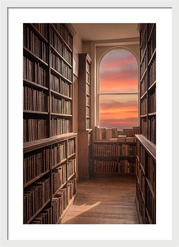 Old Bookshop Serenity