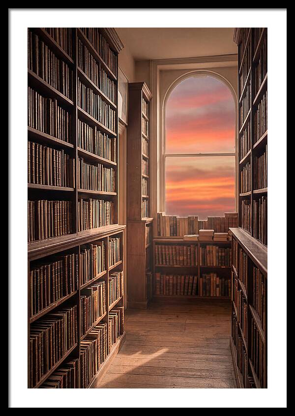 Old Bookshop Serenity