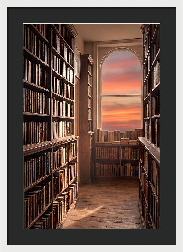 Old Bookshop Serenity