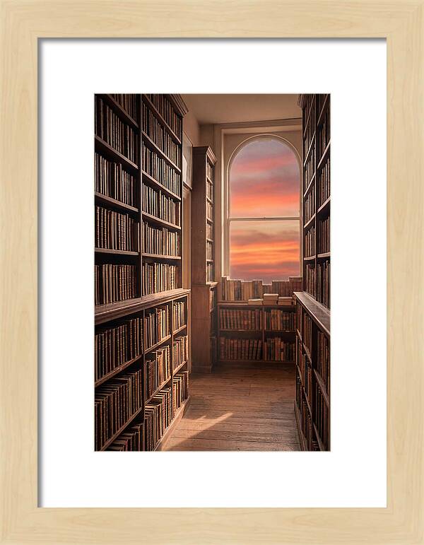 Old Bookshop Serenity