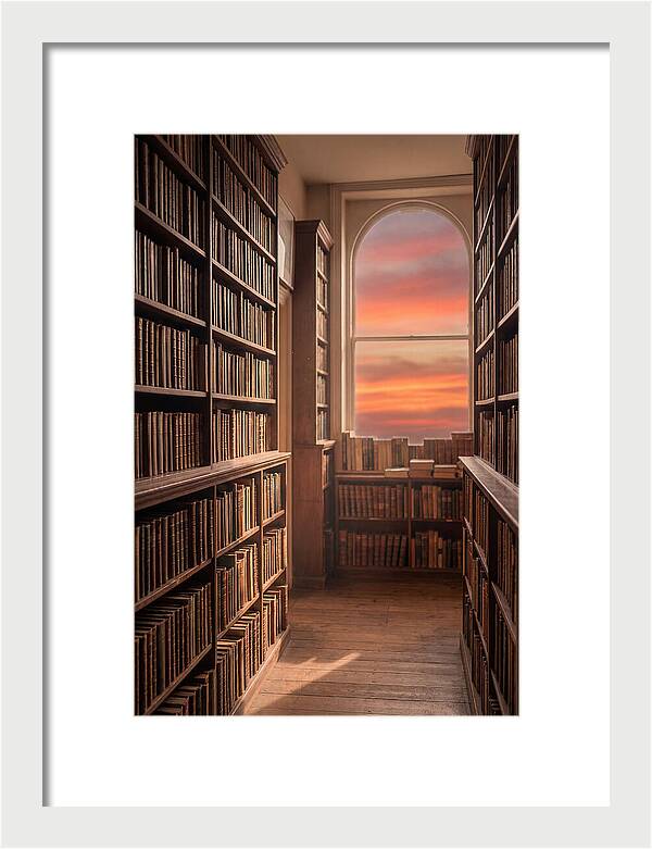 Old Bookshop Serenity