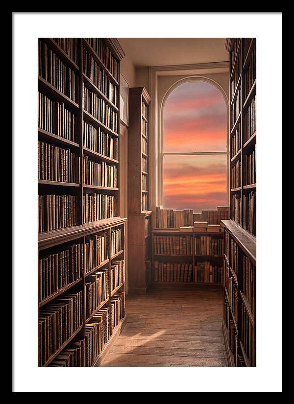 Old Bookshop Serenity