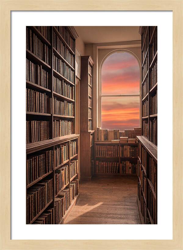 Old Bookshop Serenity