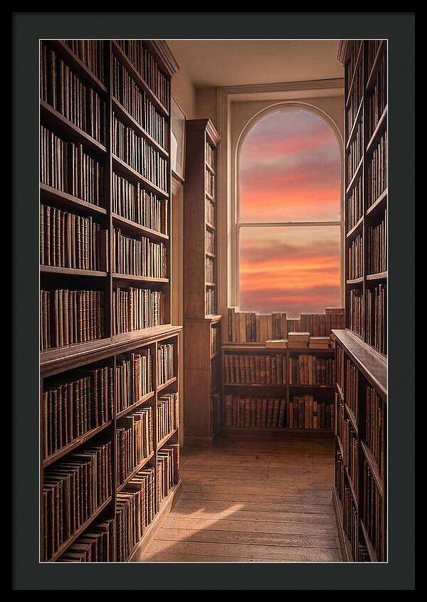 Old Bookshop Serenity