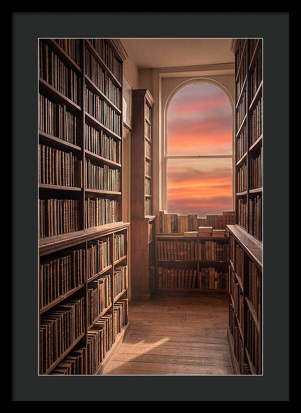 Old Bookshop Serenity