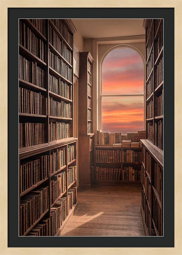 Old Bookshop Serenity
