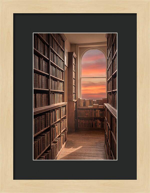 Old Bookshop Serenity