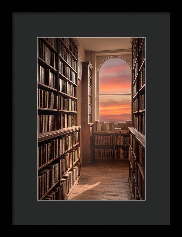 Old Bookshop Serenity