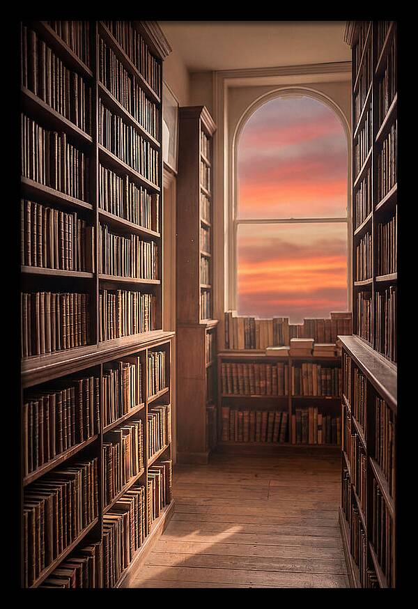 Old Bookshop Serenity