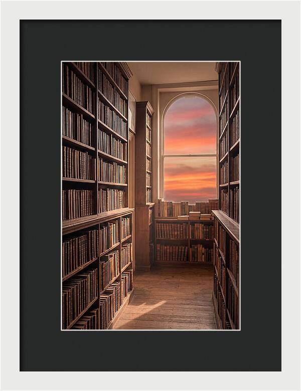 Old Bookshop Serenity