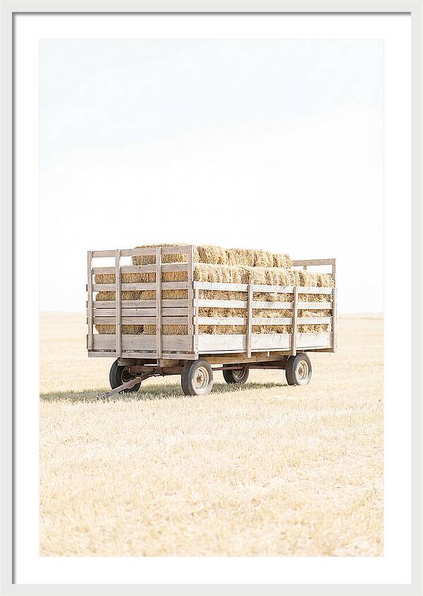 Old Farm Hay Wagon Loaded High