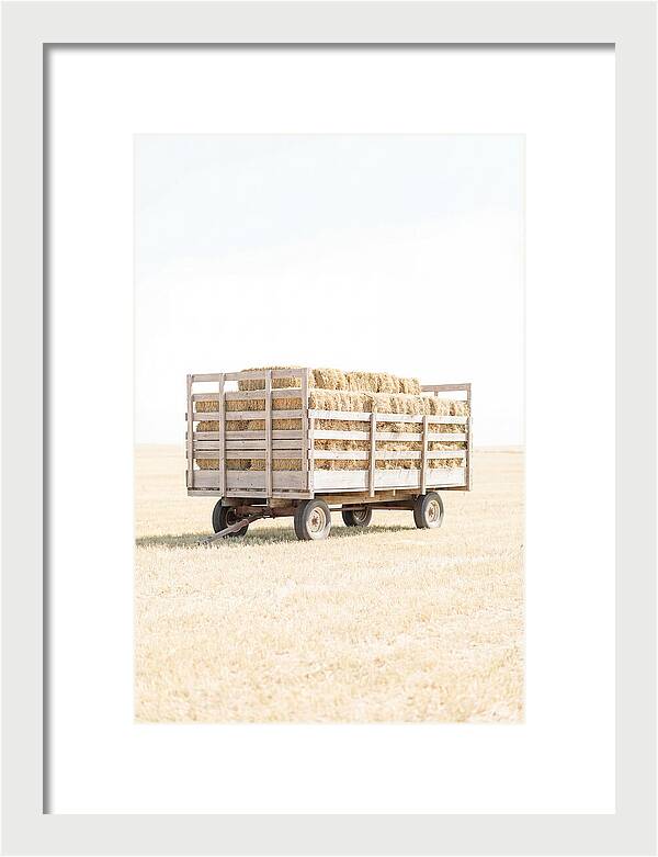 Old Farm Hay Wagon Loaded High