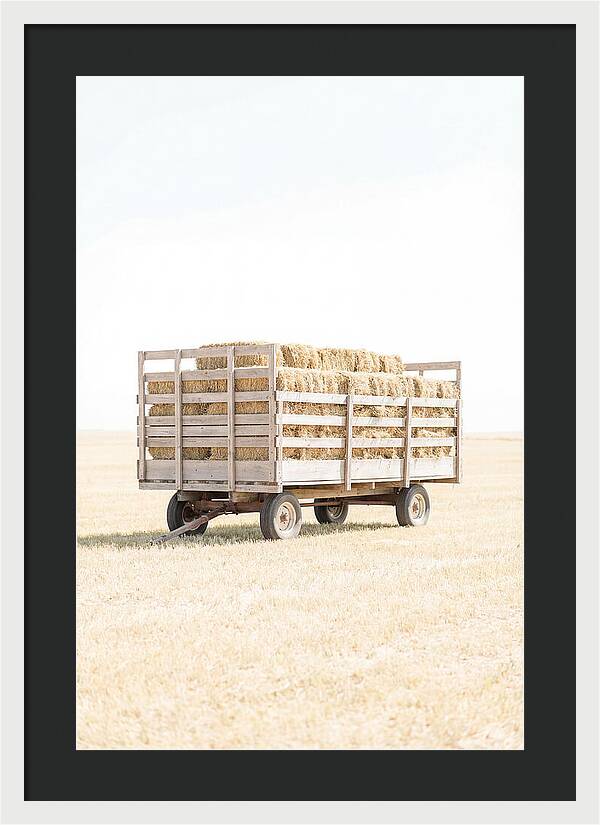 Old Farm Hay Wagon Loaded High
