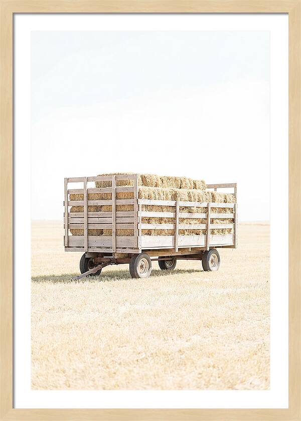 Old Farm Hay Wagon Loaded High