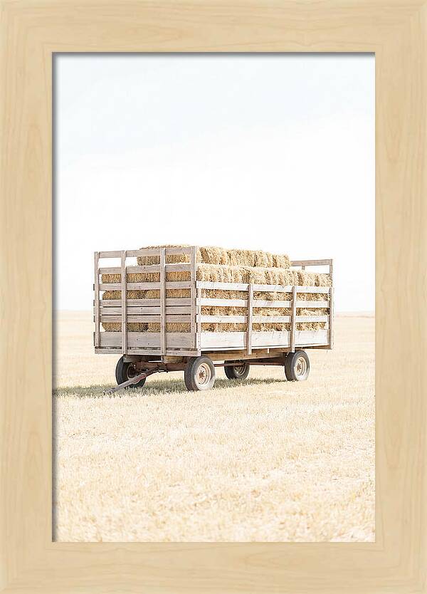 Old Farm Hay Wagon Loaded High