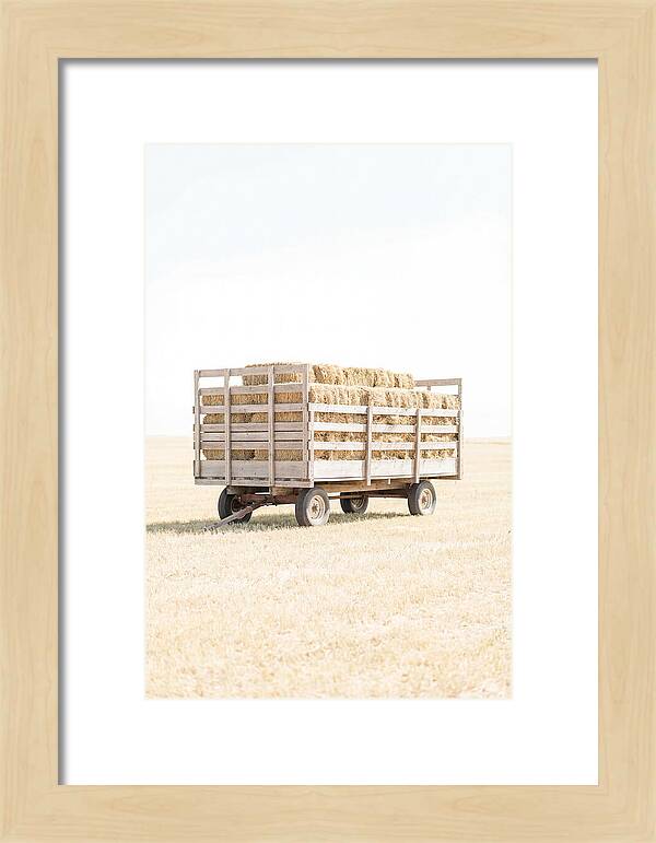 Old Farm Hay Wagon Loaded High