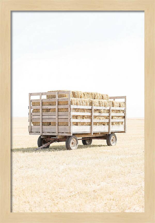 Old Farm Hay Wagon Loaded High