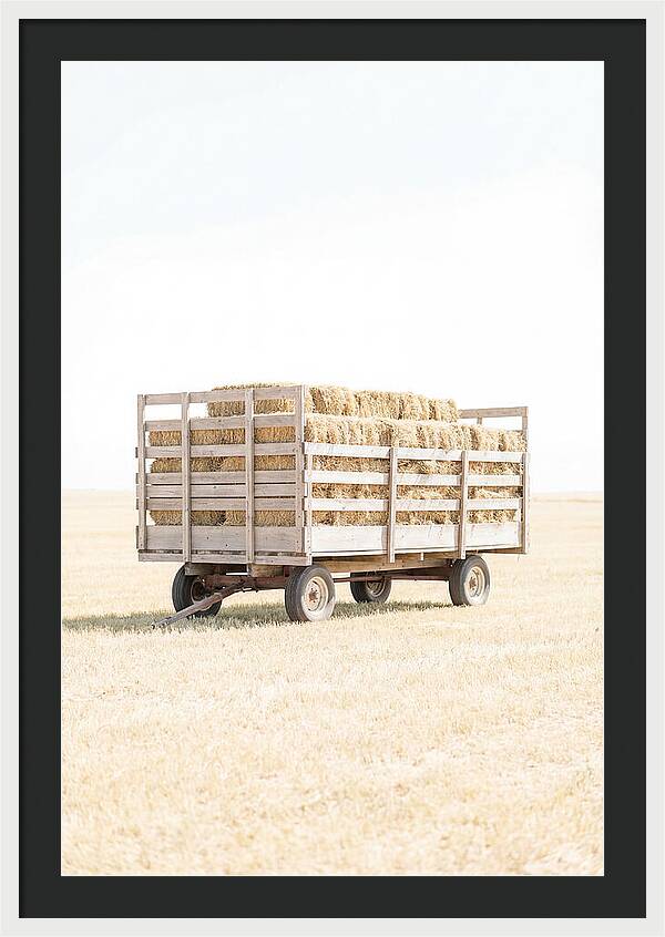 Old Farm Hay Wagon Loaded High