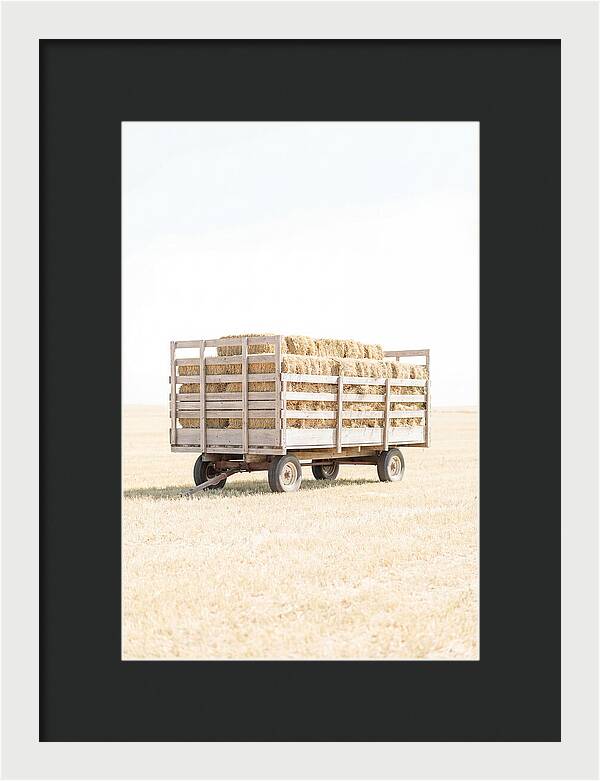 Old Farm Hay Wagon Loaded High