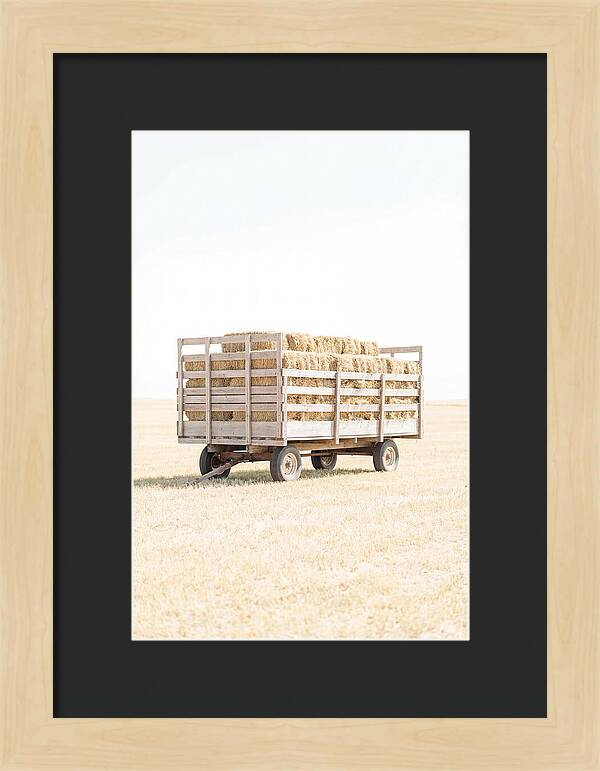 Old Farm Hay Wagon Loaded High