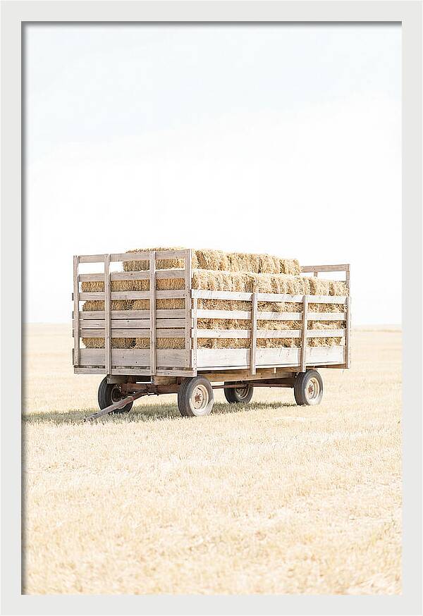 Old Farm Hay Wagon Loaded High